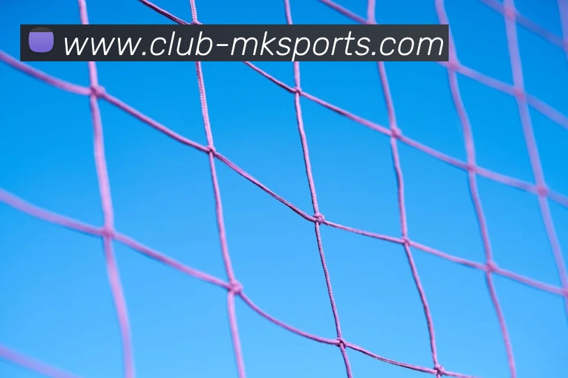 球赛投注服务体系